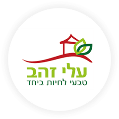 לקוח של AllChat